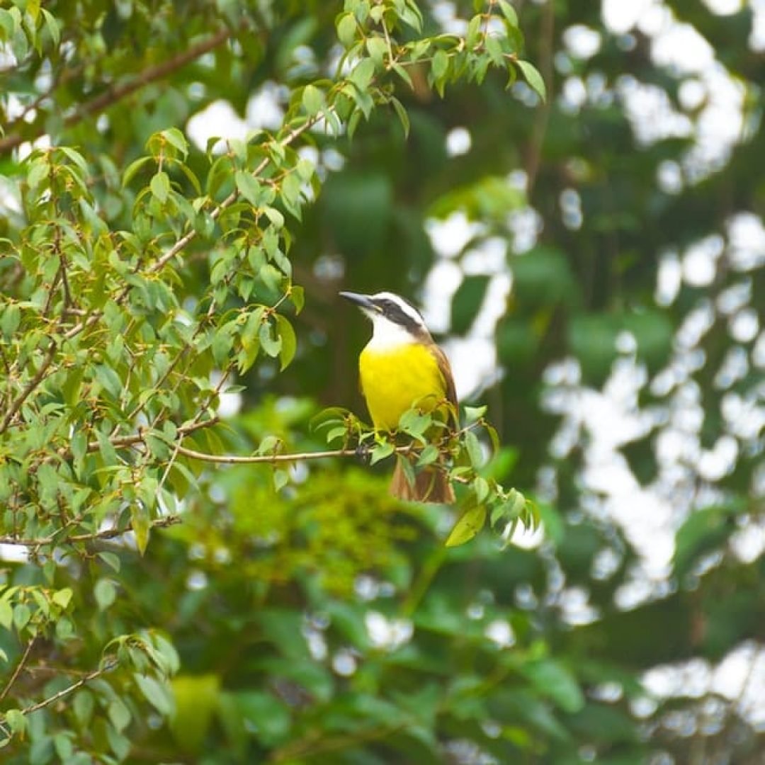 christian-felix-moller-somers-qauDsvMKVLo-unsplash