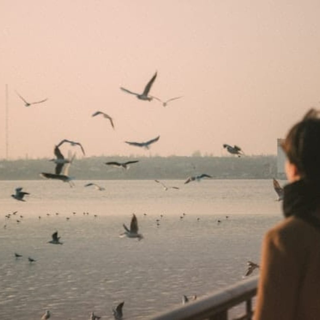 pexels-serhii-volyk-6969915