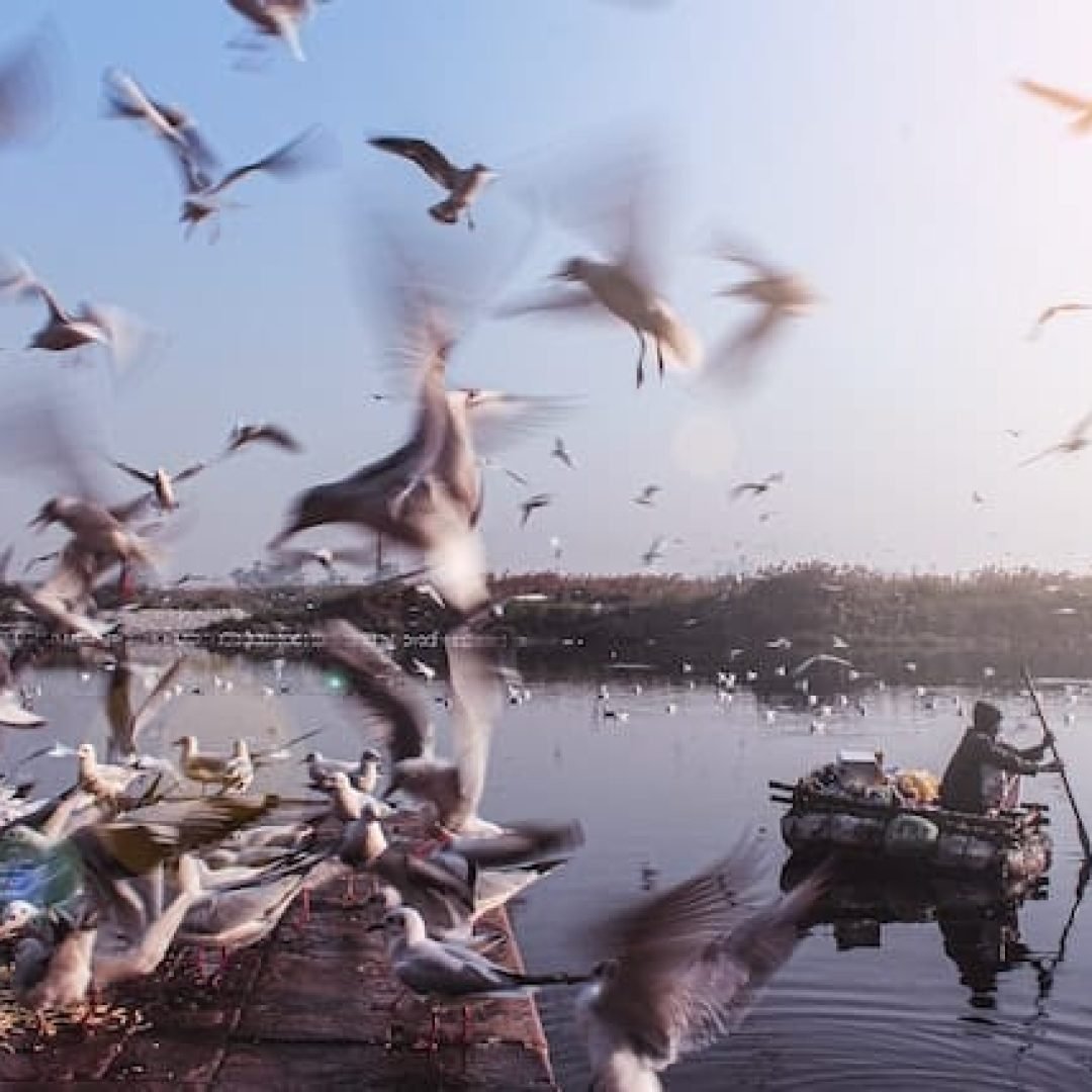 yogendra-singh-KfcXubhqpD8-unsplash